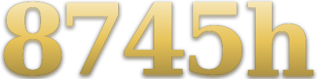 8745h logo